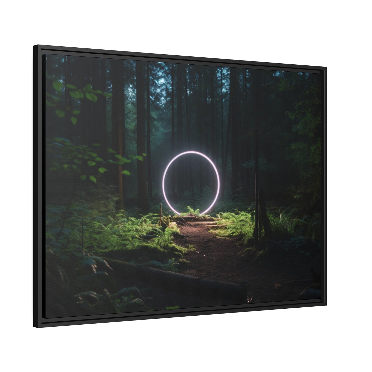 Fine art Framed Canvas print - Matte Canvas with a Black Frame - Surreal Forest Scene wall decor