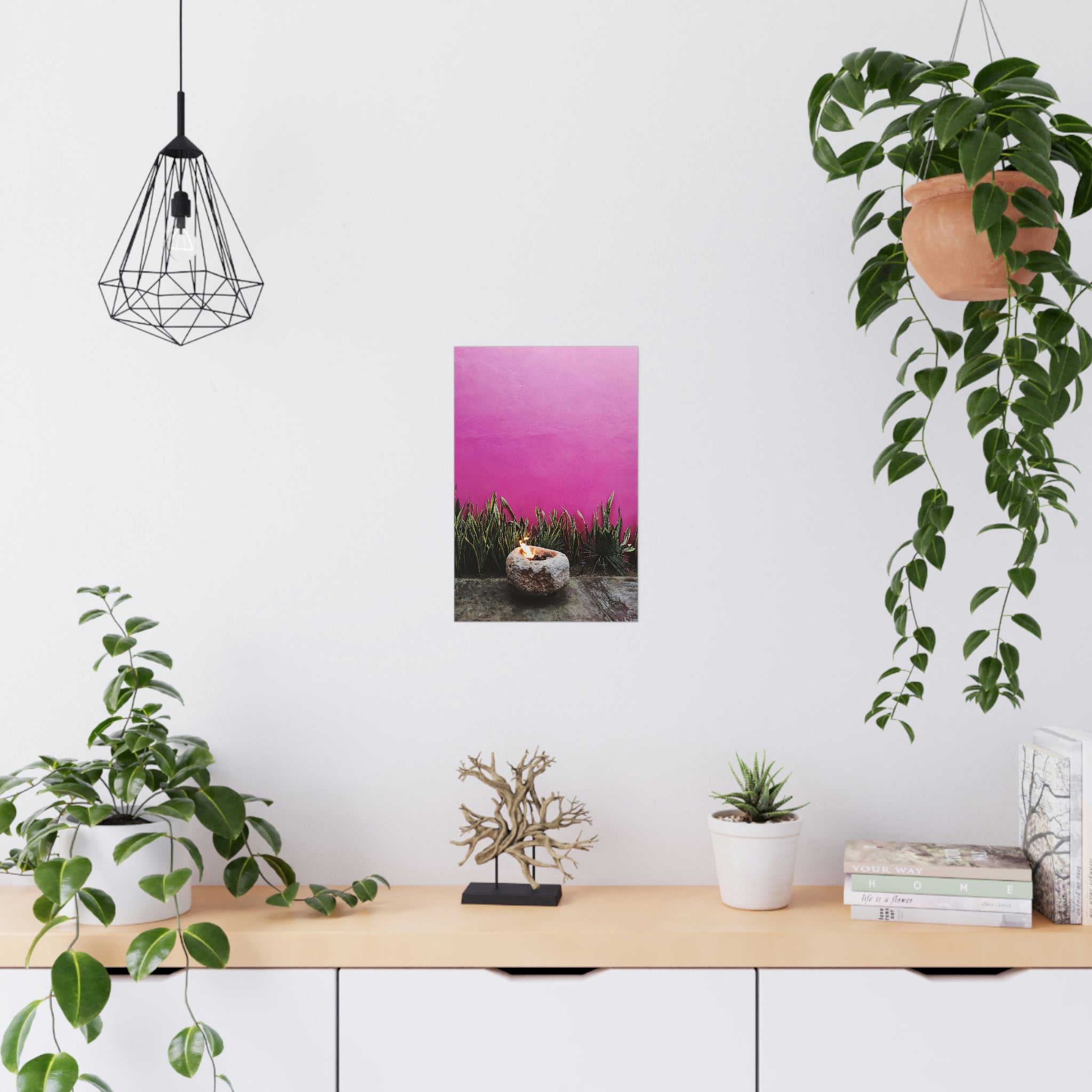 Hot Pink painted wall and organic green - Original photo print on Premium Matte Posters