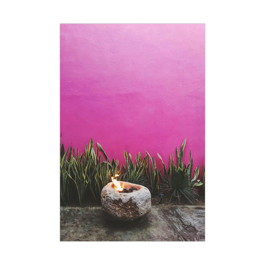 Hot Pink painted wall and organic green - Original photo print on Premium Matte Posters