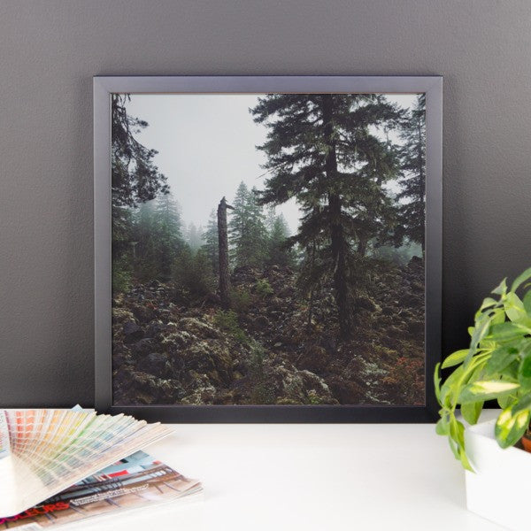 Framed Essence of Oregon print