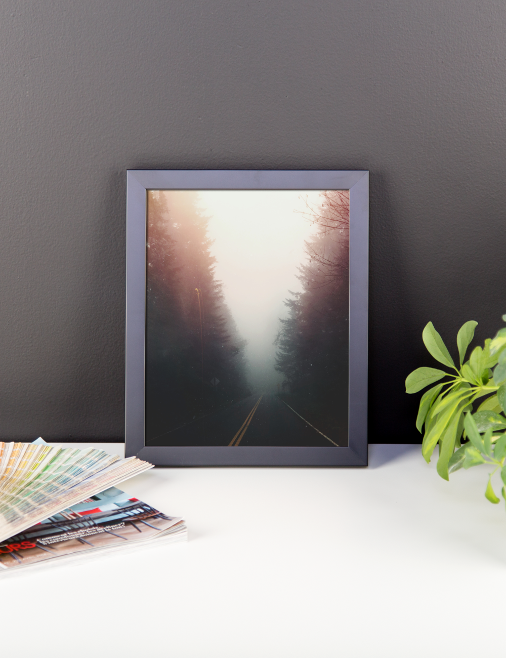 PNW "Early Morning Mist" framed print