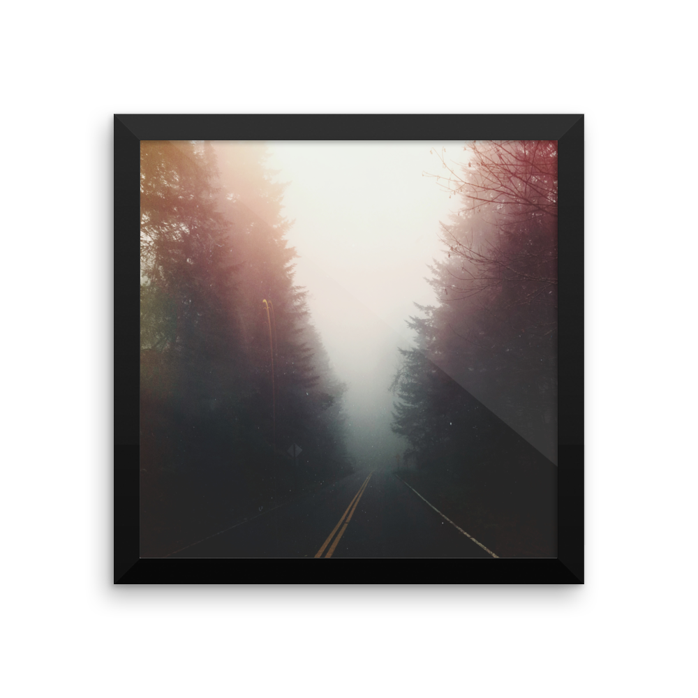 PNW "Early Morning Mist" framed print