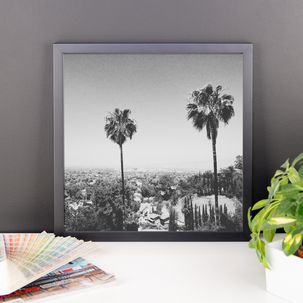 Framed B+W print of the iconic palm trees of Hollywood