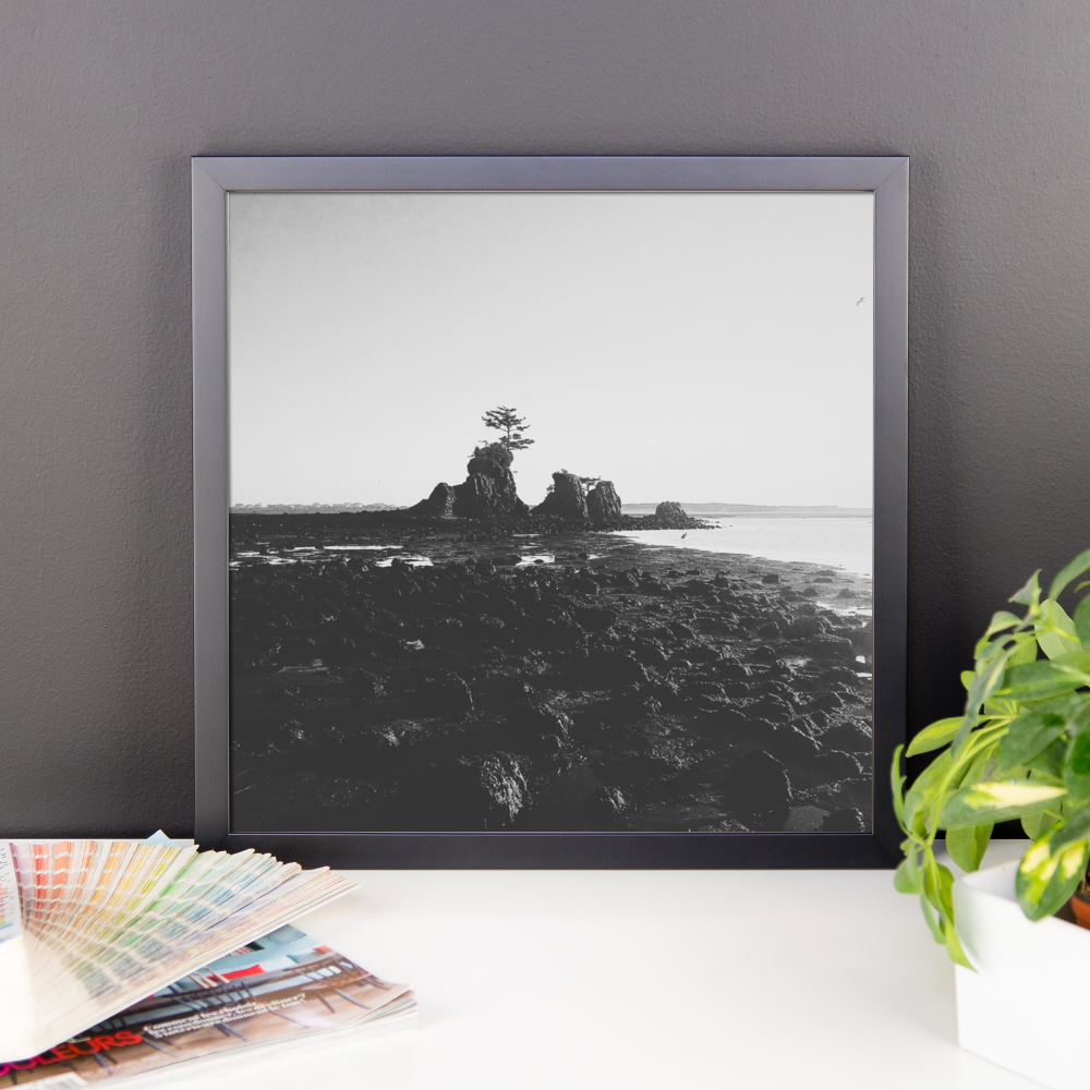 Framed B+W Oregon Coast print