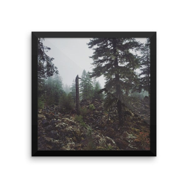 Framed Essence of Oregon print