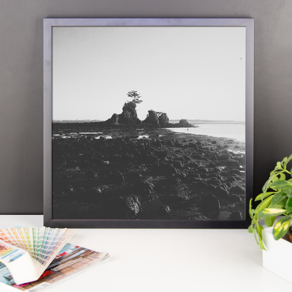 Framed B+W Oregon Coast print