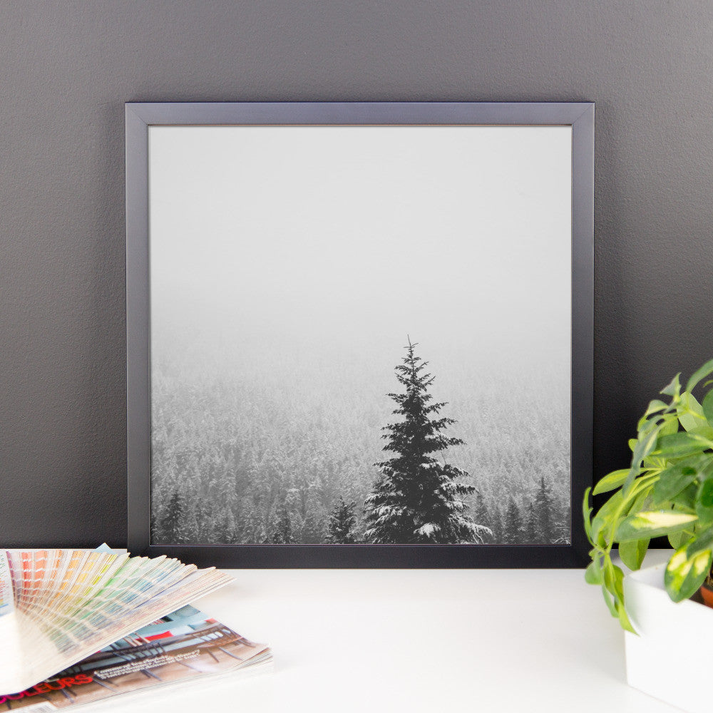 Frame print of a snow covered fir tree in the PNW