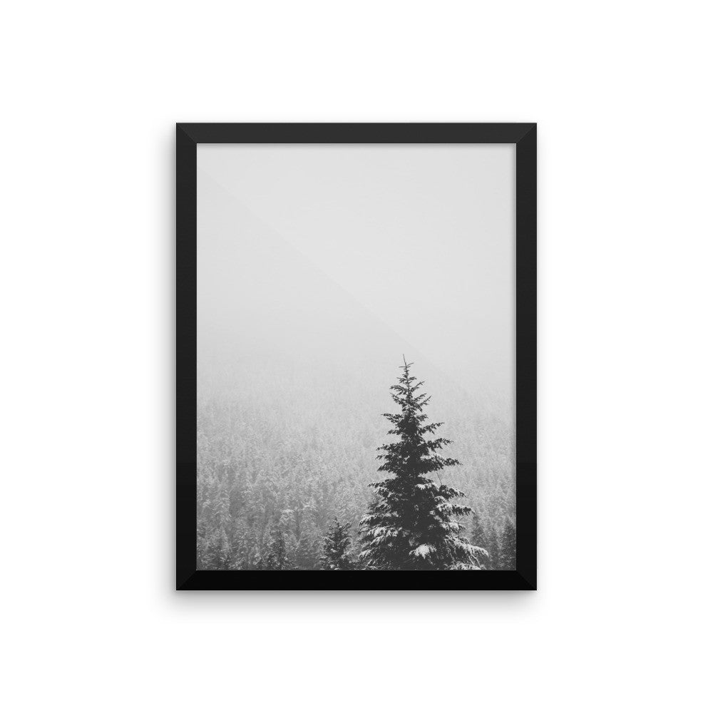 Frame print of a snow covered fir tree in the PNW