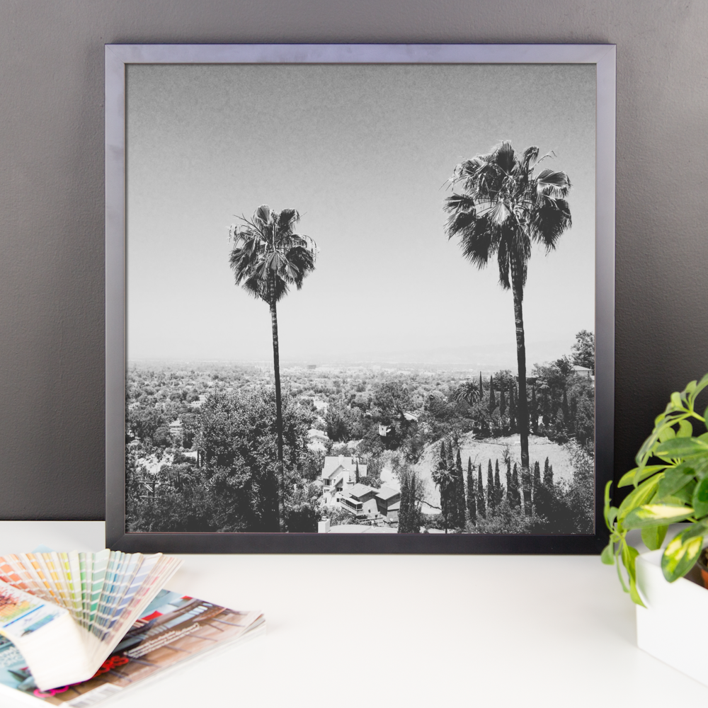 Framed B+W print of the iconic palm trees of Hollywood