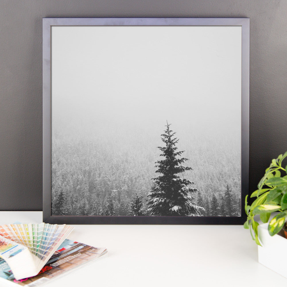 Frame print of a snow covered fir tree in the PNW