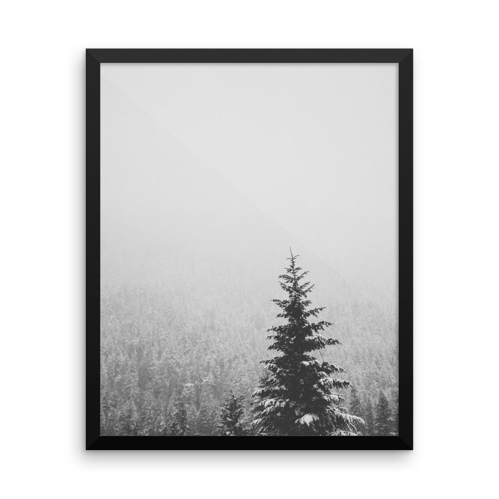 Frame print of a snow covered fir tree in the PNW