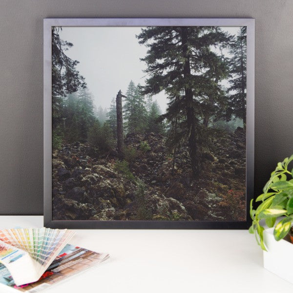 Framed Essence of Oregon print