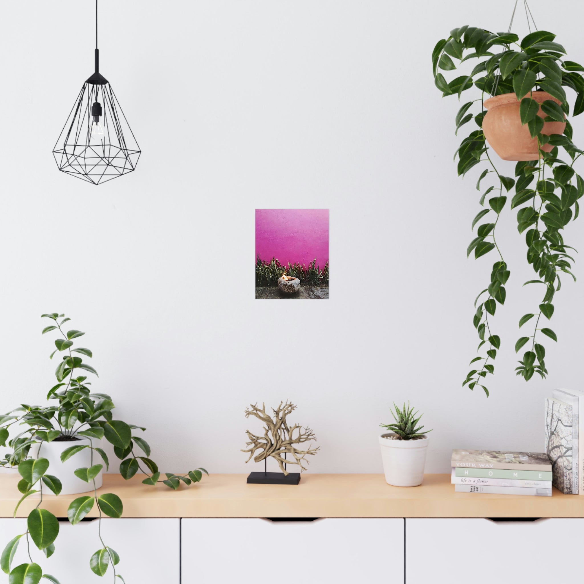 Hot Pink painted wall and organic green - Original photo print on Premium Matte Posters
