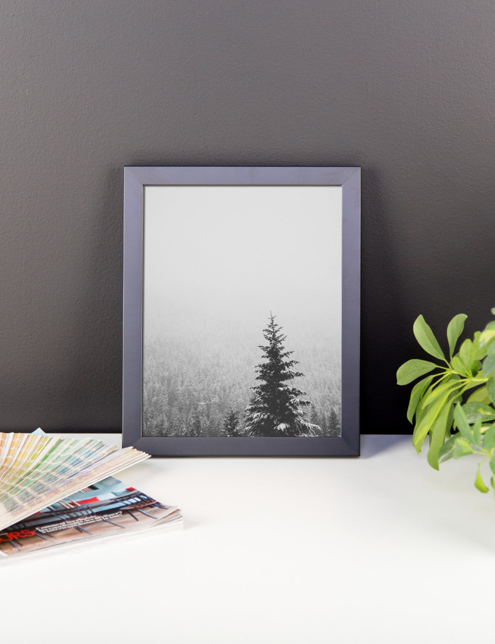 Frame print of a snow covered fir tree in the PNW