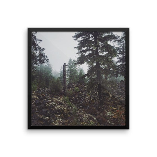 Framed Essence of Oregon print