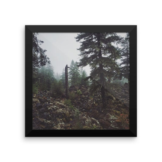 Framed Essence of Oregon print