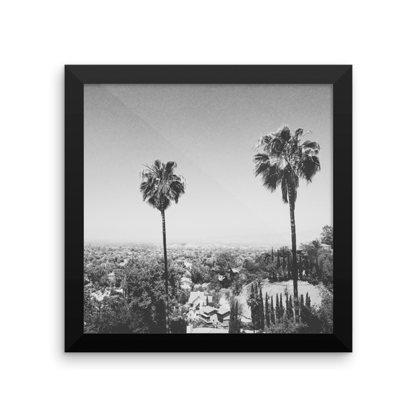 Framed B+W print of the iconic palm trees of Hollywood
